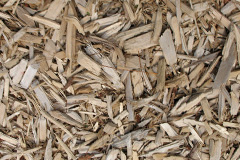 biomass boilers Coxbank